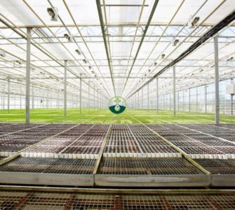 Automated Overhead Irrigation System