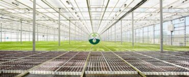 Automated Overhead Irrigation System