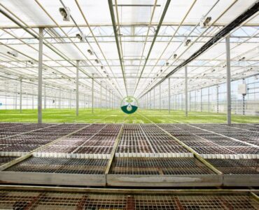 Automated Overhead Irrigation System