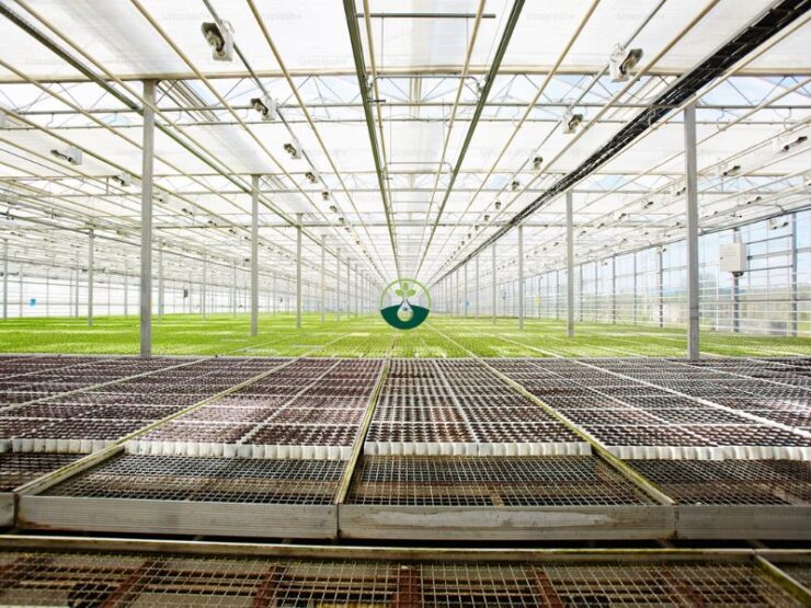 Automated Overhead Irrigation System