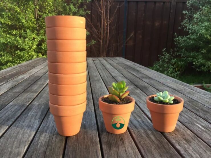 Ceramic or Terra Cotta Pot