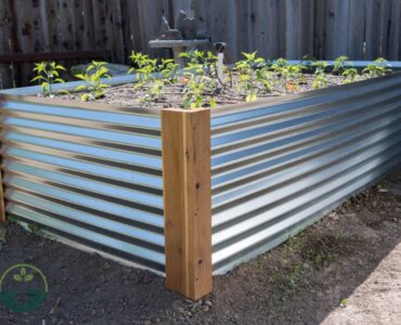 Corrugated Metal Raised Garden Beds