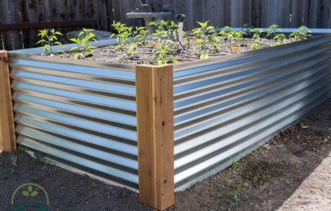 Corrugated Metal Raised Garden Beds