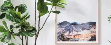 Faux Fiddle Leaf Fig Plant