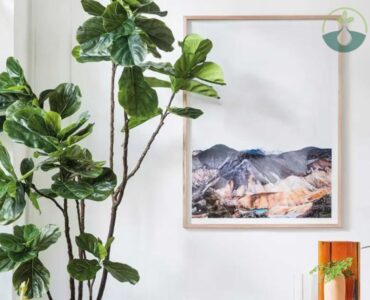 Faux Fiddle Leaf Fig Plant