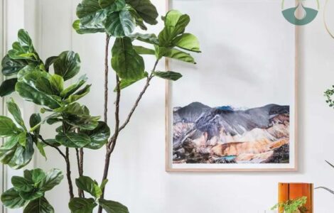 Faux Fiddle Leaf Fig Plant