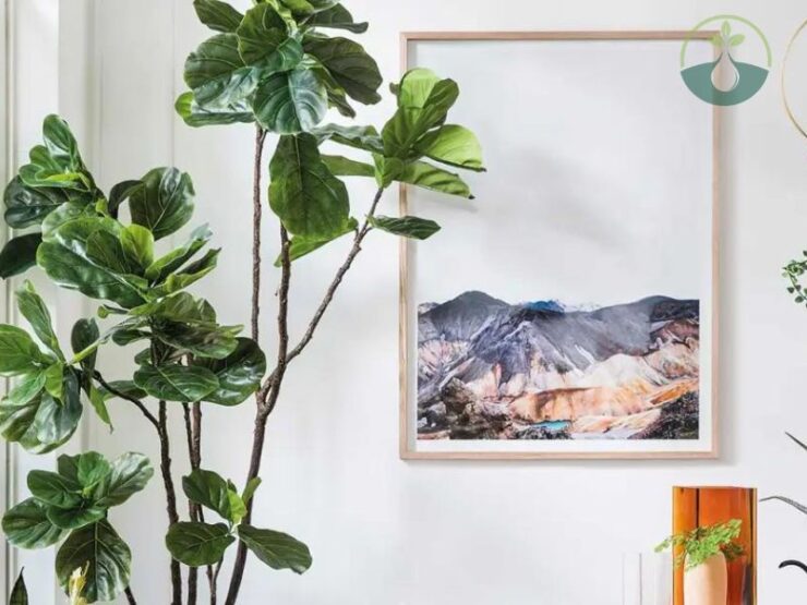 Faux Fiddle Leaf Fig Plant