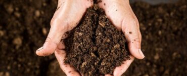 How Do I Store Bulk Garden Soil