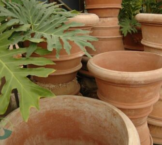 Large Terra Cotta Planter Pots