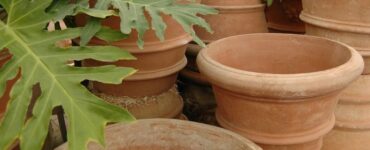 Large Terra Cotta Planter Pots