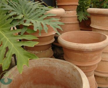 Large Terra Cotta Planter Pots