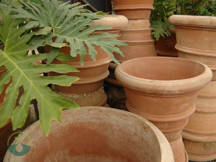 Large Terra Cotta Planter Pots