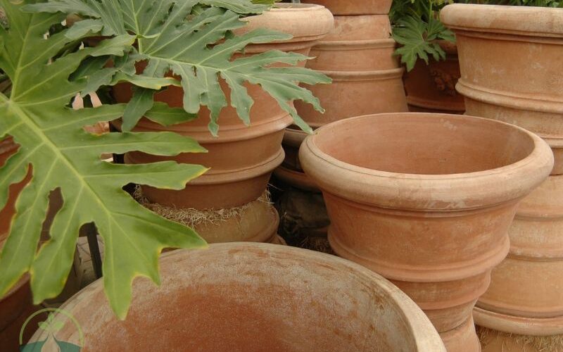 Large Terra Cotta Planter Pots