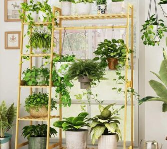 Plant Stand for Hanging Plants