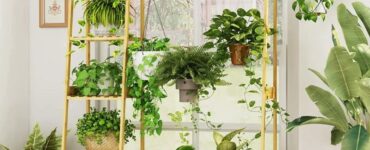 Plant Stand for Hanging Plants