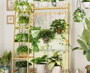 Plant Stand for Hanging Plants