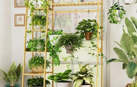 Plant Stand for Hanging Plants