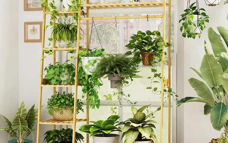 Plant Stand for Hanging Plants