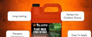 What Is in Ninja Goldfish Plant Wash