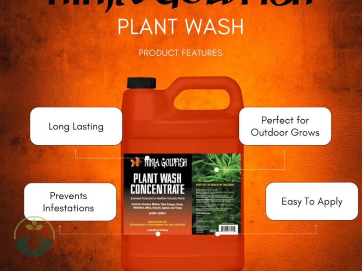 What Is in Ninja Goldfish Plant Wash