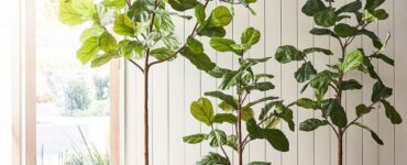 Faux Fiddle Leaf Fig Tree