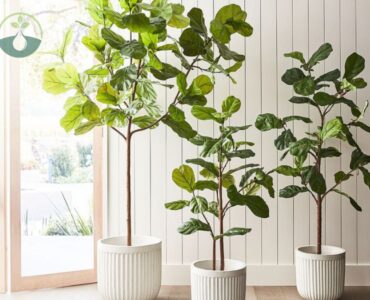 Faux Fiddle Leaf Fig Tree