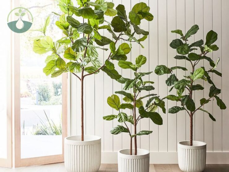 Faux Fiddle Leaf Fig Tree