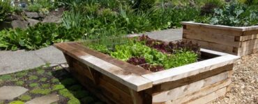 How to Get a Garden Bed in Seattle