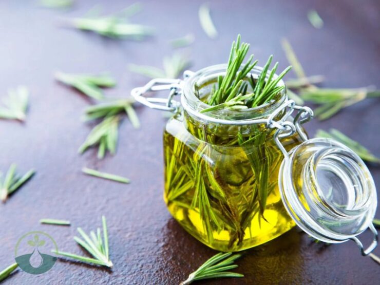 How to Make Rosemary Oil