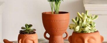 Unusual Small Terracotta Plant Pots