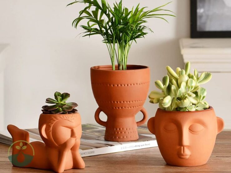 Unusual Small Terracotta Plant Pots