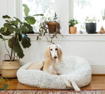 Fake House Plants Pet Friendly