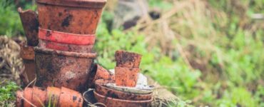 Will a Rusty Pot Kill a Plant