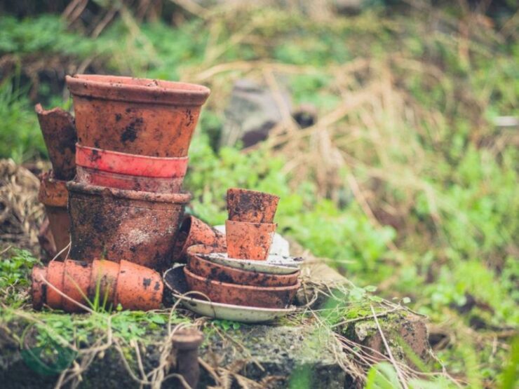 Will a Rusty Pot Kill a Plant