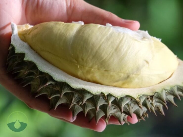 What Does Durian Taste Like